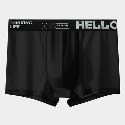 HELLO Ice Boxer