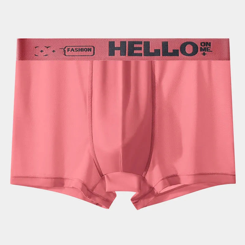 HELLO Ice Boxer