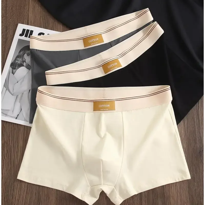 Cotton Theory Boxer