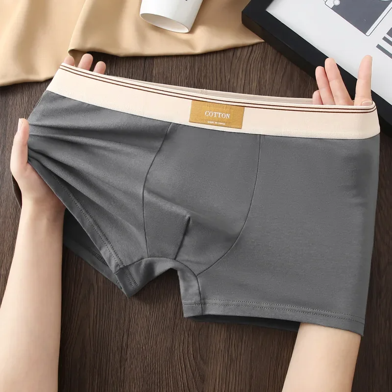 Cotton Theory Boxer